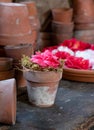 Creative display of terracotta flower pots, at Chiswick House and Gardens, London UK.