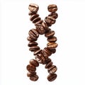 Creative dna structure made with roasted brown coffee beans isolated on  white  background Royalty Free Stock Photo