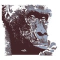 Creative drawing Gorilla