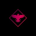 Creative eagle bird logo design vector