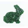 Creative Easter composition with bunny shape made of green natural leaves. Minimal spring holiday background. Flat lay. Top view Royalty Free Stock Photo