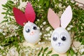 Creative Easter concept - egg in the form of bunnies
