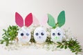 Creative Easter concept - an egg in the form of bunnies