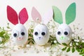 Creative Easter concept - an egg in the form of bunnies