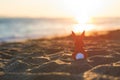 Creative easter concept photo of red paper bunny on the sand on the beach at sunset. Concept.