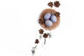 Creative easter flat lay arrangement with eggs.