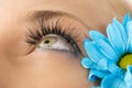 Creative eyelashes Royalty Free Stock Photo