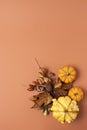 Creative Fall layout made of autumn leaves.