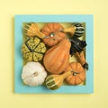 Creative Fall layout made of pumpkins