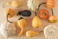 Creative fall layout made of pumpkins. Autumn, Halloween or Thanksgiving season concept. Flat lay