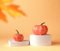 Creative Fall podium for pumpkins. Autumn, Halloween or Thanksgiving season concept.