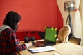 Creative female photographer with cute cat, using graphic drawing tablet and stylus pen