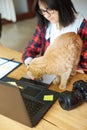 Creative female photographer with cute cat, using graphic drawing tablet and stylus pen