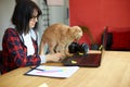 Creative female photographer with cute cat, using graphic drawing tablet and stylus pen Royalty Free Stock Photo