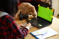 Creative female photographer with cute cat, using graphic drawing tablet and stylus pen Royalty Free Stock Photo