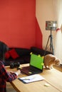 Creative female photographer with cute cat, using graphic drawing tablet and stylus pen Royalty Free Stock Photo