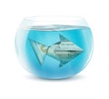 Creative finance concept, dollar fish in aquarium isolated on wh