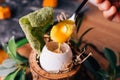Creative Fine Dinning: Soft-boiled eggs scoop cheese and yolk with shell decorated with small branches, leaves and straw Royalty Free Stock Photo