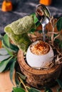 Creative Fine Dinning: Soft-boiled eggs with shell decorated with small branches, leaves and straw Royalty Free Stock Photo