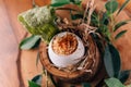 Creative Fine Dinning: Soft-boiled eggs with shell decorated with small branches, leaves and straw Royalty Free Stock Photo