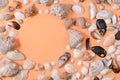 Creative flat lay concept of summer travel vacations. Top view of various kinds seashells on orange background. Royalty Free Stock Photo