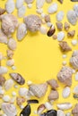 Creative flat lay concept of summer travel vacations. Top view of various kinds seashells on yellow background. Royalty Free Stock Photo