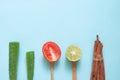 Creative flat lay of natural beauty concept, aloe vera, tomato, lime and cinnamon sticks , Health and skin care