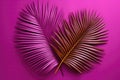 Creative Flat Lay Of Neoncolored Tropical Leaves Royalty Free Stock Photo