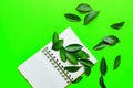 Creative flat lay overhead composition with blank notepad and beautiful eucalyptus leaves on greenl background. Greeting card Royalty Free Stock Photo
