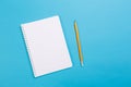 Creative flat lay photo of workspace desk. Top view office desk with open mock up notebooks and pencil and plant on blue pastel Royalty Free Stock Photo