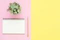 Top view office desk with open mock up notebooks and pencil and plant on pink yellow pastel color background. Royalty Free Stock Photo