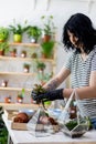 Creative florist woman transplanting succulent into glass florarium with ground and stones