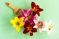 Creative flower arrangement. multi-colored heads of garden lilies with a molar brush. the concept of painting without the pungent