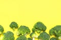 Creative food concept. Fresh raw green broccoli on yellow background. Healthy vegetables, diet vegan organic food, vitamins. Flat Royalty Free Stock Photo