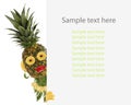 Creative food concept. Funny little pineapple looks with sample