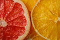 Creative food fruit texture with dried grapefruit, orange and lemon macro
