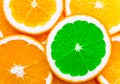 Creative food pattern from round cut slices of ripe juicy oranges with one selective green color. Vitamins healthy lifestyle