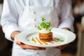 Creative food stylist meticulously decorating a delicious meal for restaurant presentation