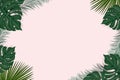 Creative frame layout from tropical background with exotic palm leaves and plants isolated on pink background , flat lay. nature