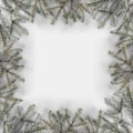Creative frame made of Christmas fir branches on white background with snowflakes. Royalty Free Stock Photo