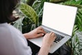 Creative Freelancer Woman Using Laptop in Cafe With Houseplant, Business Woman Online Working on Computer Laptop While Sitting Royalty Free Stock Photo