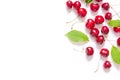 Creative fresh cherry pattern background with copy space. Food concept.  Top view. Royalty Free Stock Photo