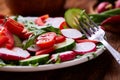 Creative fresh vegetable salad with ruccola, cucumber, tomatoes and raddish on white plate, selective focus Royalty Free Stock Photo