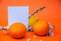 Creative fruits composition made of oranges and lemon with blossom tree branch and note paper on orange background, spring concept