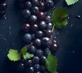 Fresh blackcurrant blackcurrants glistering with water droplet. flat lay top view