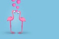 Creative fun concept with a couple of flamingos in love on pastel blue background Royalty Free Stock Photo