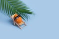 Creative funny composition with Easter egg with sunglasses sitting on deck chair and palm leaf on bright blue background