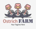 Creative funny logo with three curious ostriches. Ostrich farm sign. Camel birds illustration