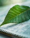 A Creative Fusion of Nature and Science Exploring the Intersection of Botany, Leaf Texture, and Botanical Research on Paper