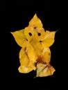 Creative ganpati, Ganesh idol with yellow leaf on black background Royalty Free Stock Photo